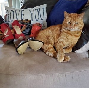 Shoe Meowdel !